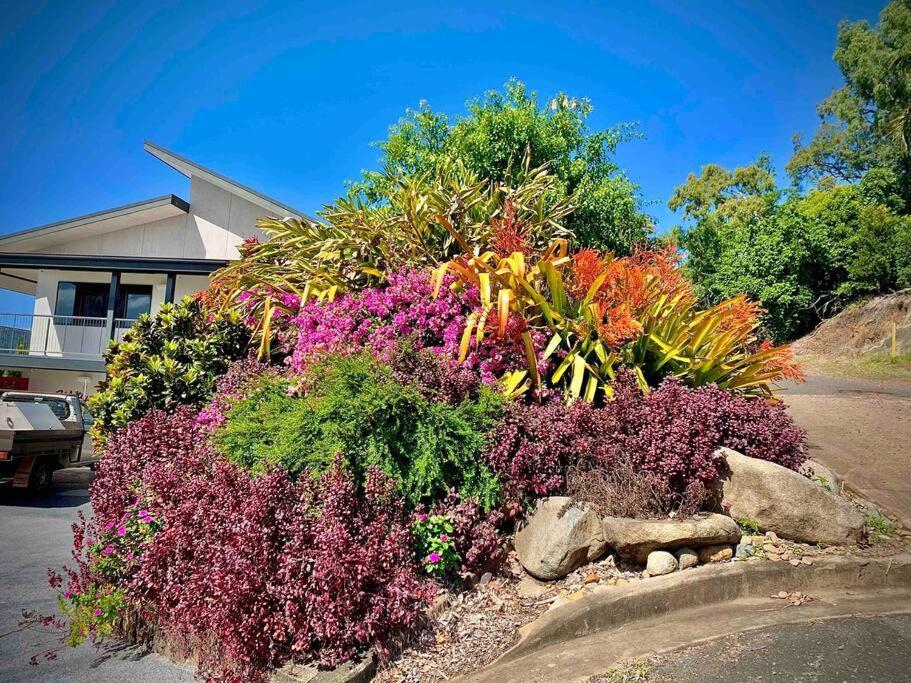 Whitsunday Dreams Apartment Airlie Beach Exterior foto